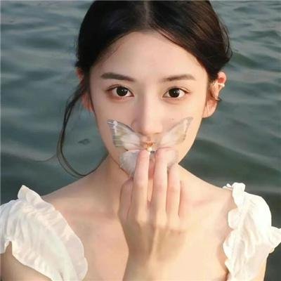 蔷薇处处香